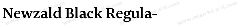 Newzald Black Regula字体转换